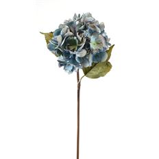 HYDRANGEA DRIED 22" BLUE