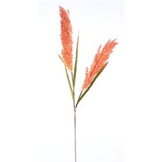 SORGHUM SPRAY 30" ORANGE