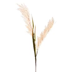 SORGHUM SPRAY 30" CREAM