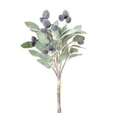 OLIVE BRANCH 10" BUNDLE NAT