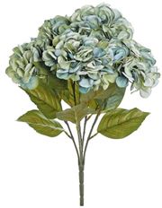 HYDRANGEA BUSH X5 22" SAGE BLUE