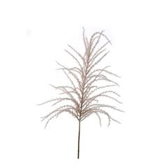 PAMPAS PLUME SPRAY 52" BEIGE