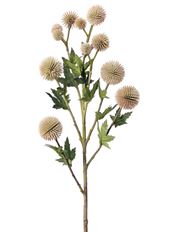ECHINOPS SPRAY X12 23" CR/PINK