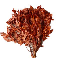 OAK TRANSPARENT RUST 16 OZ