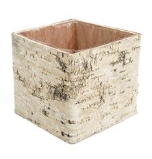 BIRCH POT 5.5" SQUARE