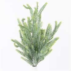 GRASS FERN BUSH 21" X 7