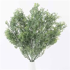 CEDAR BUSH 16" X 5 DUSTY GREEN