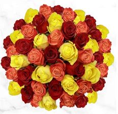 ROSE COLORS ASSORTED 60cm