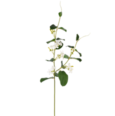 STEPHANOTIS 38.5" WHITE