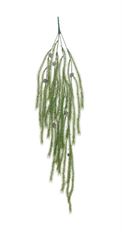 CEDAR FROSTED HANGING 36" GREEN/CR