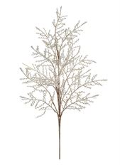 FERN SPRAY CHAMPAGNE