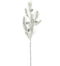 PINE SPRAY W/CONE 28" GREEN