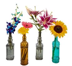 FRESH HARVEST ARRG  CASE