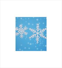 ORN SNOWFLAKE 12" IRIDESCENT