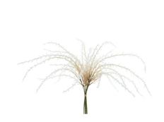 PAMPAS GRASS BUSH 18" X5 CREAM