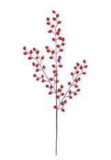 BERRY SPRAY 30" WR RED