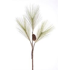 SPRAY CAROLINA W/CONE 24&quot; GREEN