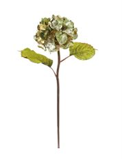 HYDRANGEA METALLIC 20" GR