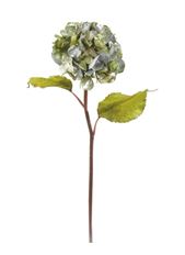 HYDRANGEA METALLIC 20" BLUE