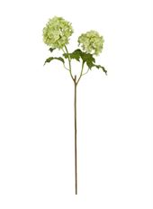 SNOWBALL 21.5" GREEN X2