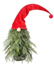 GNOME PINE W/ HAT 19.75" GREEN