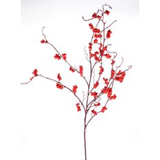 BERRY BRANCH WR 43" RED