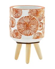PLANTER FOOTED SANDDOLLAR 4" ORANGE
