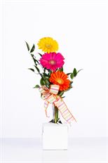 BOX AUTO BUDVASE WHITE 4.5X4.5X4"