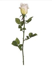 ROSE BUD GARDEN 28" CREAM