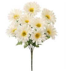 GERBERA DAISY BUSH X9 19" WHITE