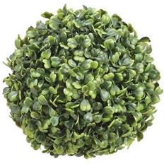 BALL BOXWOOD 6.5" GREEN