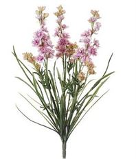 DELPHINIUM BUSH X3 24.5&quot; PINK/CRM