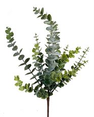 EUCALYPTUS SPRAY 20.5" GREEN