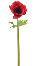 ANEMONE NT 15.5&quot; RED