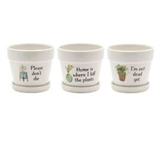 POTTERY WITTY W/SAUCER  4.75" MULTI