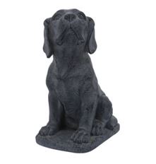 PUPPY LOOKING UP 16" GRAY