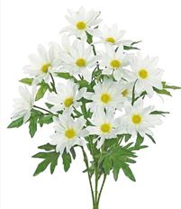 DAISY BUSH 19.5" X5 WHITE