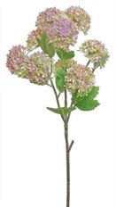 SNOWBALL SPRAYX9 PINK/GRN