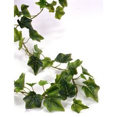 GARLAND IVY 6' GREEN