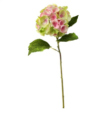 HYDRANGEA STEM 19" GREEN PINK