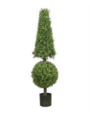 BOXWOOD BALL CONE TREE TOP 50" GR
