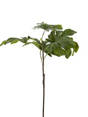 FATISIA LEAF SPRAY 33" GREEN