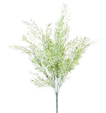 SPRINGERI BUSH 25" DUSTY GREEN