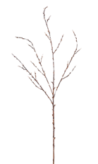 BRANCH BUD 39&quot; NATURAL