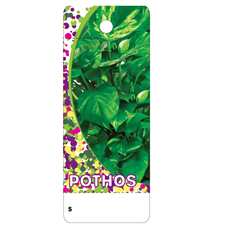 CARE TAGS POTHOS 100PK