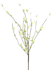 BERRY BRANCH SEEDED 41" GREEN