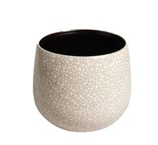 CERAMIC ORCHID POT D16 CREAM