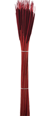 CATTAIL BURGUNDY 50/PK