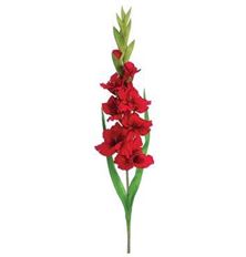 GLADIOLUS SPRAY 36.6" RED