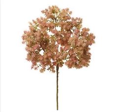 SEDUM SPRAY 21" PINK GREEN